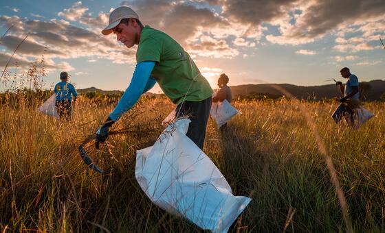 In Brazil’s Cerrado, restoration efforts include natural regeneration, direct seeding and agroforestry with native species.